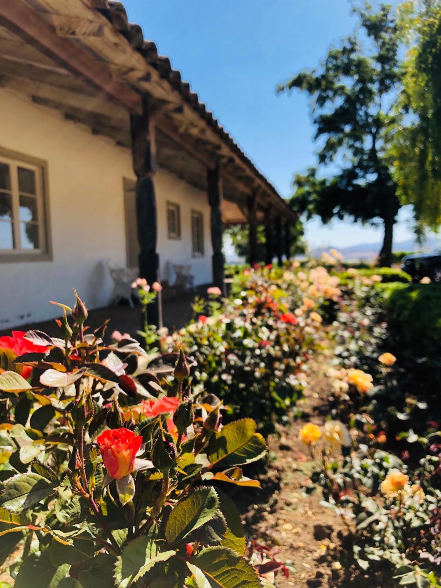 Casa Bouchon Hotel Boutique San Javier  Eksteriør billede